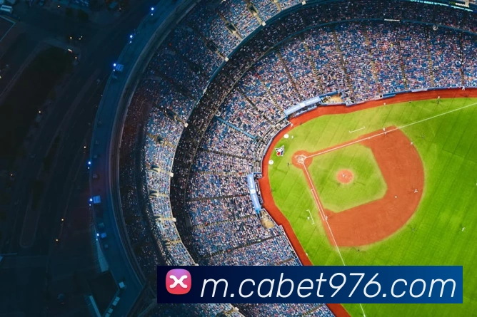 cabet亚州城服务体系